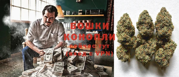 ALPHA-PVP Новозыбков
