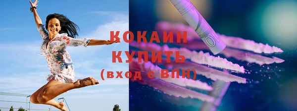 шишки Нягань