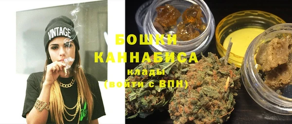 шишки Нягань