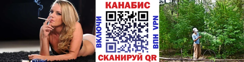 Конопля сатива  Купить  Енисейск 